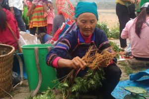 Viện Công Nghệ Y học Việt Nam Tuyển dụng