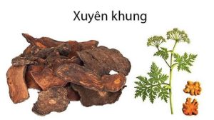 Viện Công Nghệ Y học Việt Nam Tuyển dụng