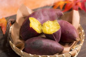 Viện Công Nghệ Y học Việt Nam Tuyển dụng